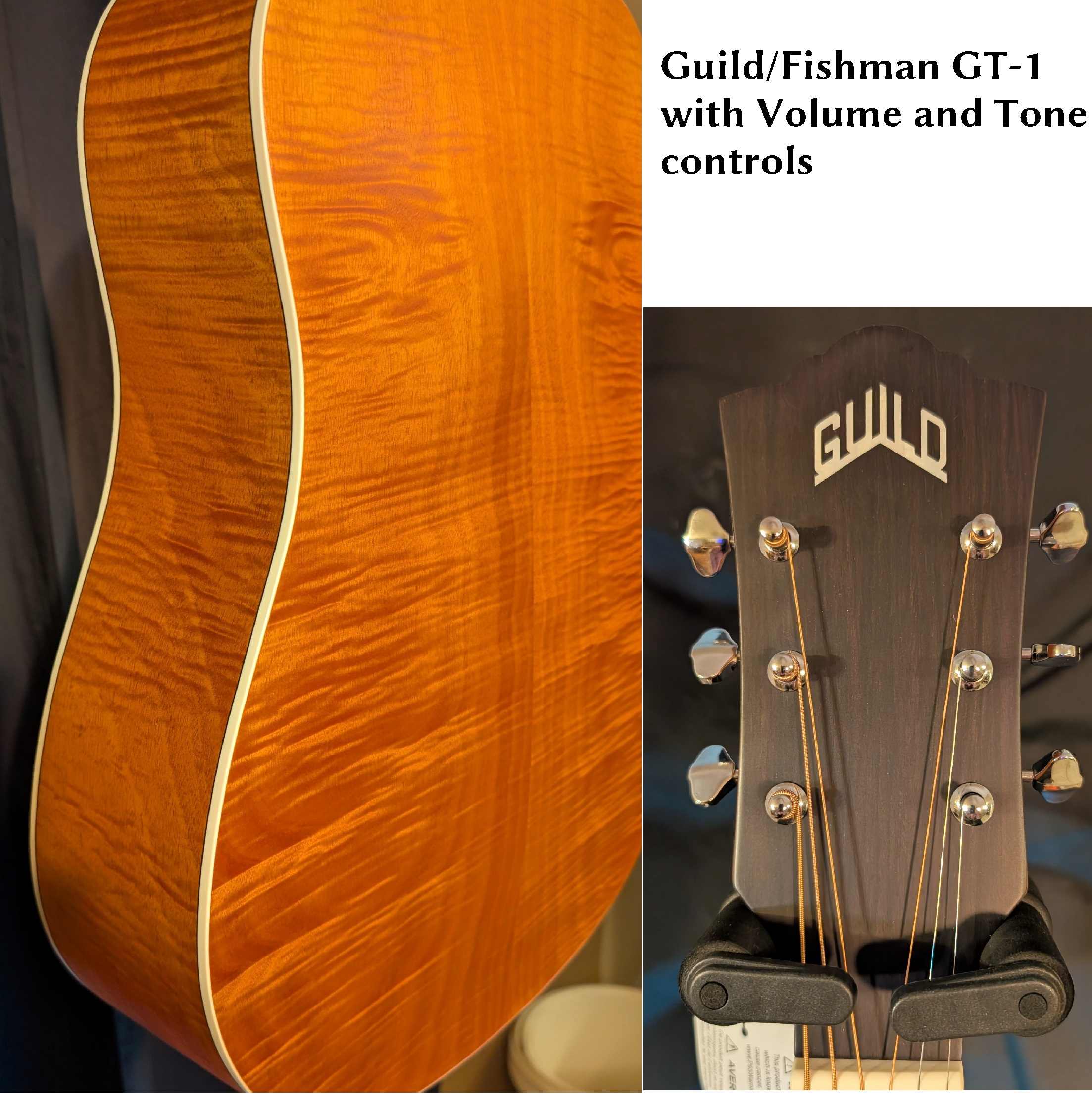 GUILD 240LTD B