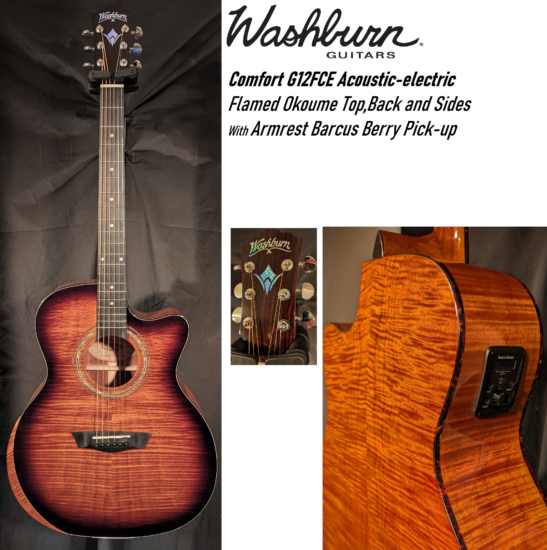 Washburn WCG12FCE